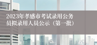 2023年孝感市考试录用公务员拟录用人员公示（第一批）