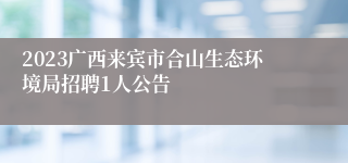 2023广西来宾市合山生态环境局招聘1人公告