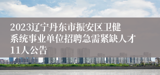 2023辽宁丹东市振安区卫健系统事业单位招聘急需紧缺人才11人公告