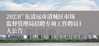 2023广东清远市清城区市场监督管理局招聘专项工作聘员1人公告