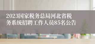 2023国家税务总局河北省税务系统招聘工作人员85名公告