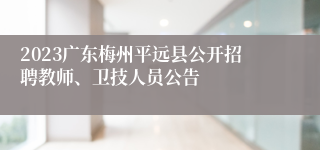 2023广东梅州平远县公开招聘教师、卫技人员公告