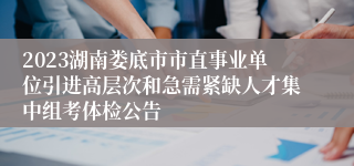 2023湖南娄底市市直事业单位引进高层次和急需紧缺人才集中组考体检公告