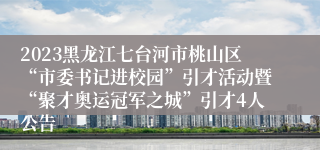 2023黑龙江七台河市桃山区“市委书记进校园”引才活动暨“聚才奥运冠军之城”引才4人公告