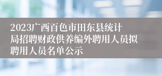 2023广西百色市田东县统计局招聘财政供养编外聘用人员拟聘用人员名单公示