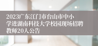 2023广东江门市台山市中小学进湖南科技大学校园现场招聘教师20人公告