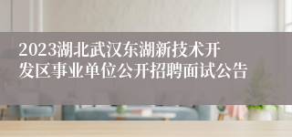 2023湖北武汉东湖新技术开发区事业单位公开招聘面试公告