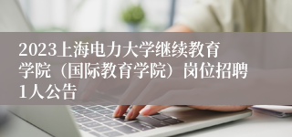 2023上海电力大学继续教育学院（国际教育学院）岗位招聘1人公告