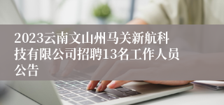 2023云南文山州马关新航科技有限公司招聘13名工作人员公告
