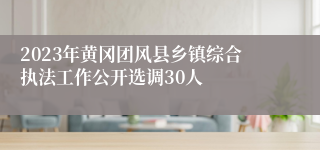2023年黄冈团风县乡镇综合执法工作公开选调30人