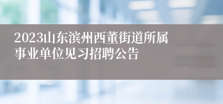 2023山东滨州西董街道所属事业单位见习招聘公告