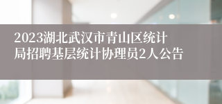 2023湖北武汉市青山区统计局招聘基层统计协理员2人公告