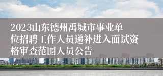 2023山东德州禹城市事业单位招聘工作人员递补进入面试资格审查范围人员公告