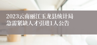 2023云南丽江玉龙县统计局急需紧缺人才引进1人公告