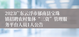 2023广东云浮市郁南县宝珠镇招聘农村集体“三资”管理服务平台人员1人公告