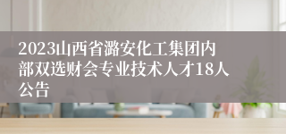 2023山西省潞安化工集团内部双选财会专业技术人才18人公告