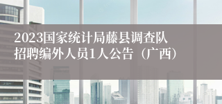 2023国家统计局藤县调查队招聘编外人员1人公告（广西）