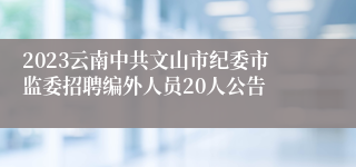 2023云南中共文山市纪委市监委招聘编外人员20人公告