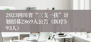 2023四川省“三支一扶”计划招募2869人公告（医疗593人）