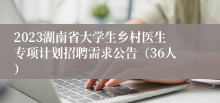 2023湖南省大学生乡村医生专项计划招聘需求公告（36人）