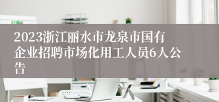 2023浙江丽水市龙泉市国有企业招聘市场化用工人员6人公告
