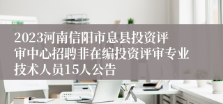 2023河南信阳市息县投资评审中心招聘非在编投资评审专业技术人员15人公告