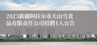 2023新疆阿拉尔市天山雪食品有限责任公司招聘1人公告