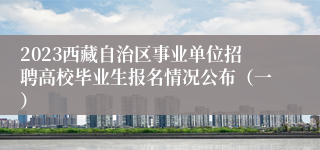 2023西藏自治区事业单位招聘高校毕业生报名情况公布（一）
