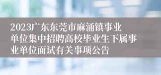 2023广东东莞市麻涌镇事业单位集中招聘高校毕业生下属事业单位面试有关事项公告