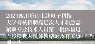 2023四川乐山市赴电子科技大学考核招聘高层次人才和急需紧缺专业技术人员第一批体检进一步检查人员体检结论及有关事项公告