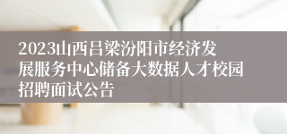 2023山西吕梁汾阳市经济发展服务中心储备大数据人才校园招聘面试公告