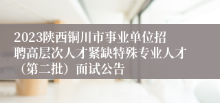 2023陕西铜川市事业单位招聘高层次人才紧缺特殊专业人才（第二批）面试公告
