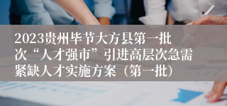 2023贵州毕节大方县第一批次“人才强市”引进高层次急需紧缺人才实施方案（第一批）