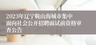2023年辽宁鞍山海城市集中面向社会公开招聘面试前资格审查公告