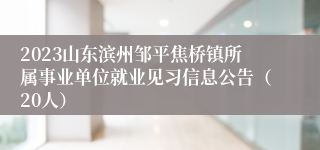 2023山东滨州邹平焦桥镇所属事业单位就业见习信息公告（20人）