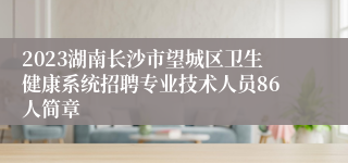 2023湖南长沙市望城区卫生健康系统招聘专业技术人员86人简章