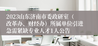 2023山东济南市委政研室（改革办、财经办）所属单位引进急需紧缺专业人才1人公告