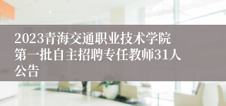 2023青海交通职业技术学院第一批自主招聘专任教师31人公告