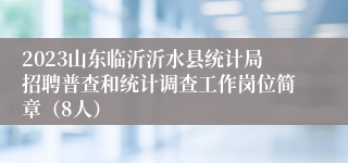 2023山东临沂沂水县统计局招聘普查和统计调查工作岗位简章（8人）