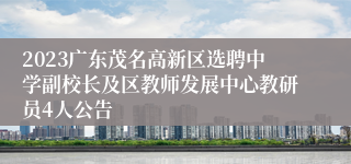 2023广东茂名高新区选聘中学副校长及区教师发展中心教研员4人公告