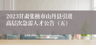 2023甘肃张掖市山丹县引进高层次急需人才公告（五）