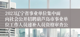 2023辽宁省事业单位集中面向社会公开招聘葫芦岛市事业单位工作人员递补人员资格审查公告