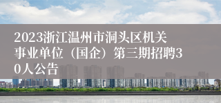 2023浙江温州市洞头区机关事业单位（国企）第三期招聘30人公告