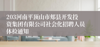 203河南平顶山市郏县开发投资集团有限公司社会化招聘人员体检通知