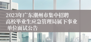 2023年广东潮州市集中招聘高校毕业生应急管理局属下事业 单位面试公告