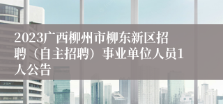 2023广西柳州市柳东新区招聘（自主招聘）事业单位人员1人公告