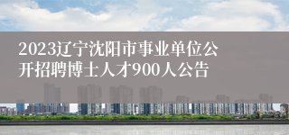 2023辽宁沈阳市事业单位公开招聘博士人才900人公告