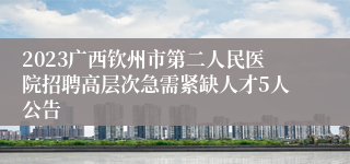 2023广西钦州市第二人民医院招聘高层次急需紧缺人才5人公告