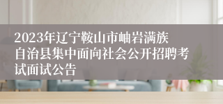 2023年辽宁鞍山市岫岩满族自治县集中面向社会公开招聘考试面试公告