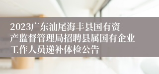 2023广东汕尾海丰县国有资产监督管理局招聘县属国有企业工作人员递补体检公告